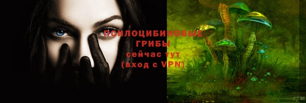 спайс Беломорск