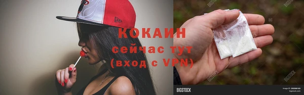 индика Балабаново