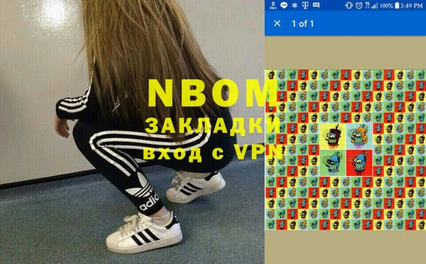 a pvp Белокуриха