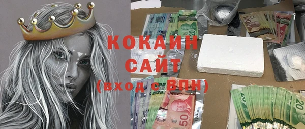 прущие грибы Богородицк