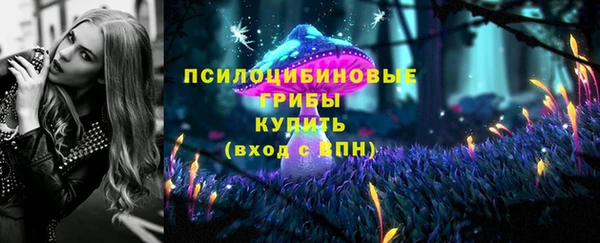 метадон Богородск