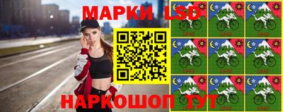 кокс Камышлов