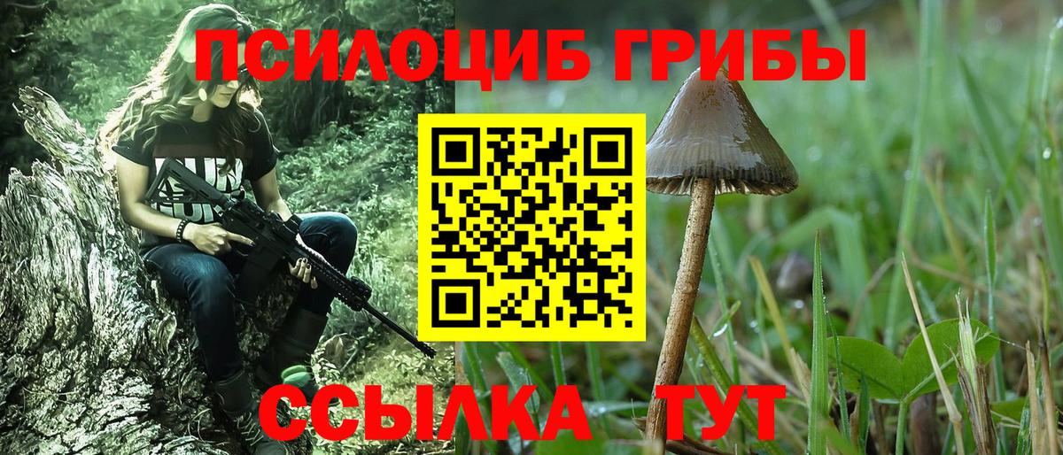 Галлюциногенные грибы GOLDEN TEACHER Армавир